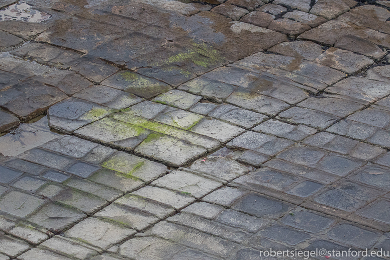 tessellated pavements